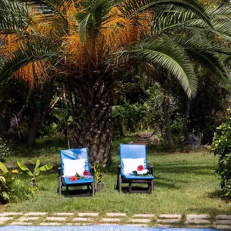 Holiday home Home2book Charming Nature Casa Aurora Los Realejos