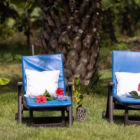 Home2book Charming Nature Casa Aurora Los Realejos