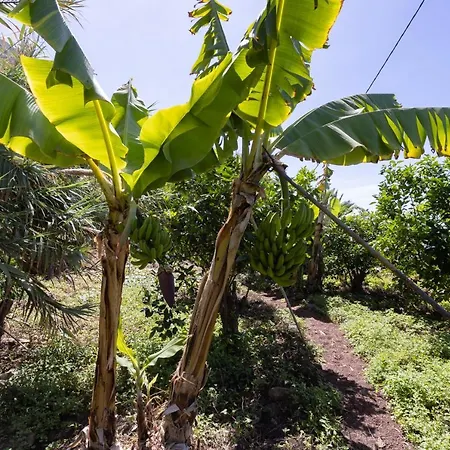 Сasa de vacaciones Home2book Charming Nature Casa Aurora Los Realejos