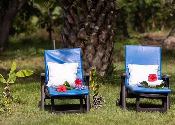 Home2book Charming Nature Casa Aurora Los Realejos