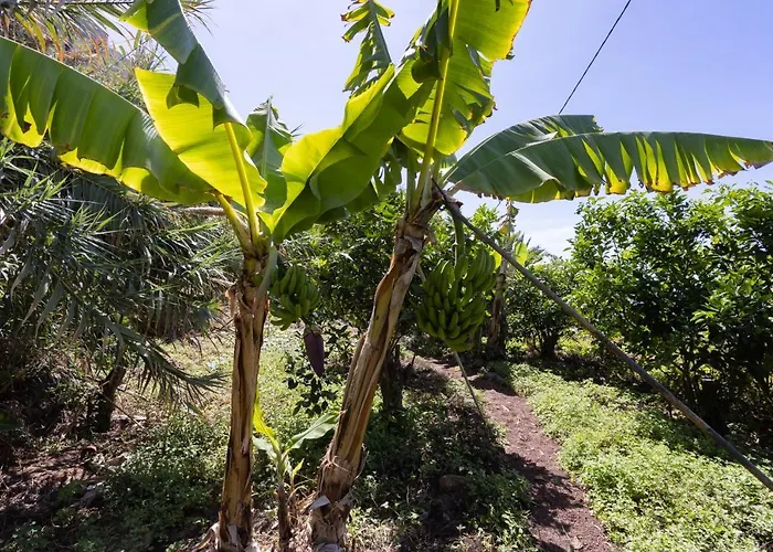 Дом отдыха Home2book Charming Nature Casa Aurora Лос-Реалехос